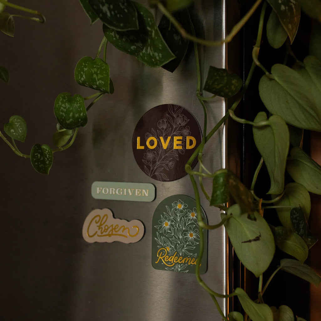 Identity Magnet Collection